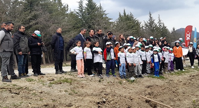 Bucak'ta fidan dikim etkinliği