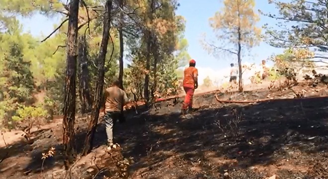 Bucak'ta orman yangını büyümeden söndürüldü