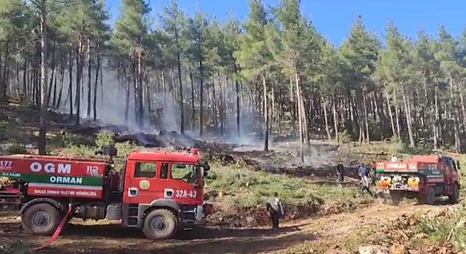Bucak'ta orman yangını büyümeden söndürüldü