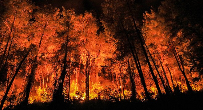 Bucak yangınıyla ilgili gözaltındaki 6 kişi serbest