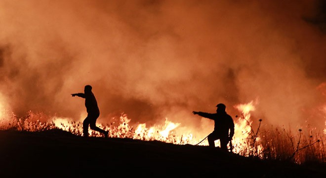 Burdur Gölü kıyısındaki yangının neden olduğu tahribat ortaya çıktı