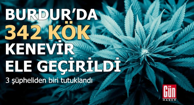 Burdur'da 342 kök kenevir ele geçirildi
