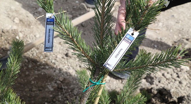 Burdur'da Deprem Şehitleri Ormanı oluşturuldu