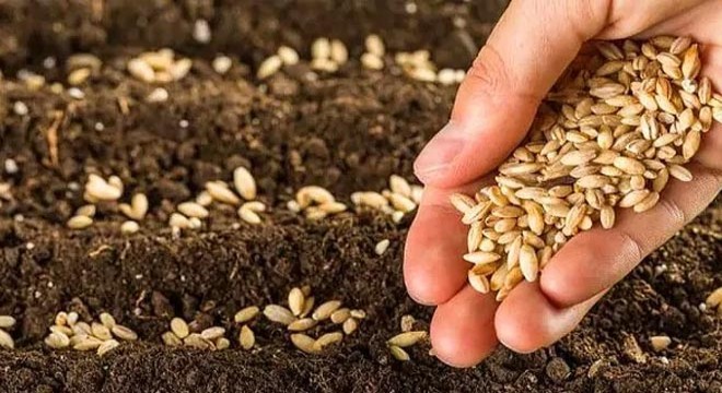 Burdur'da çiftçilere tohum dağıtıldı