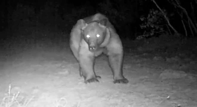 Burdur'da ikinci bozayı sürprizi
