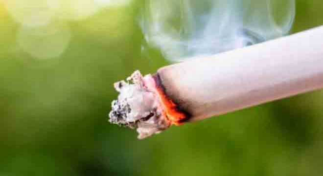 Burdur'da kaçak sigara ve içki operasyonu