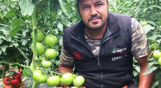 Burdur'da kaza: 1 ölü, 3 yaralı