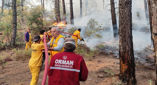 Burdur'da orman yangını