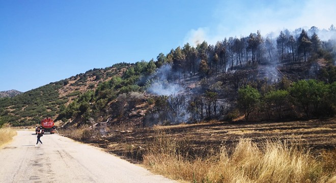 Burdur'da orman yangını