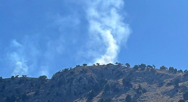 Burdur'da orman yangını söndürüldü