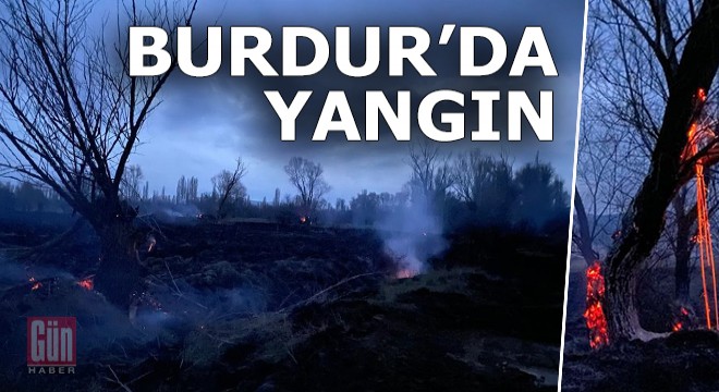 Burdur'da yangın