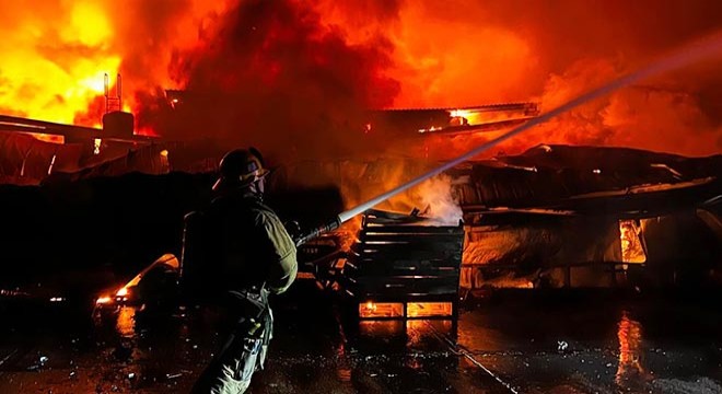 California'da orman yangını