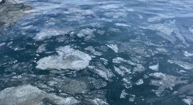 Çanakkale Boğazı'nda müsilaj etkisini kaybetti