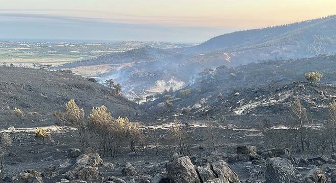 Çanakkale’deki orman yangını 2'nci günde