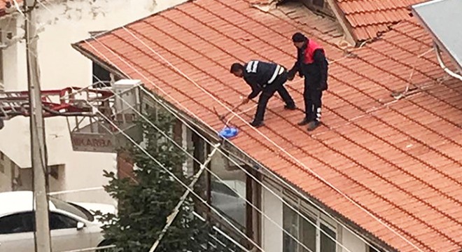 Çatıda mahsur kalan kedi itfaiye tarafından indirildi