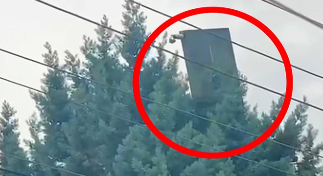 Çatıdan uçan güneş paneli ağacın üzerine düştü