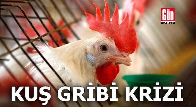 Çiftçiler kuş gribinin bir 'kriz' olduğunu söylüyor