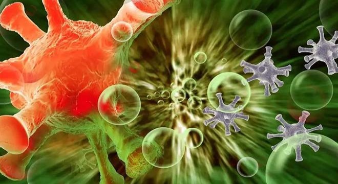 Çinli bilim insanları Antarktika'da 6 yeni bakteri cinsi keşfetti