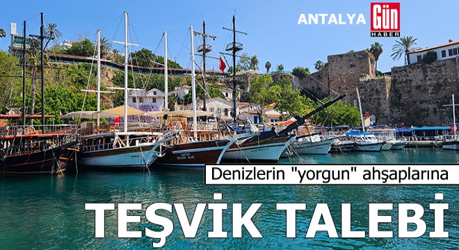 Denizlerin ''yorgun'' ahşaplarına teşvik talebi