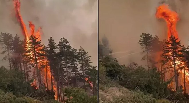 Denizli'deki orman yangını kontrol altına alındı