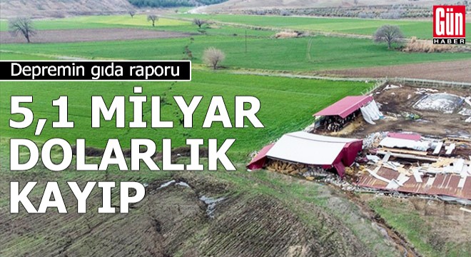 Depremin gıda raporu: 5,1 milyar dolarlık kayıp