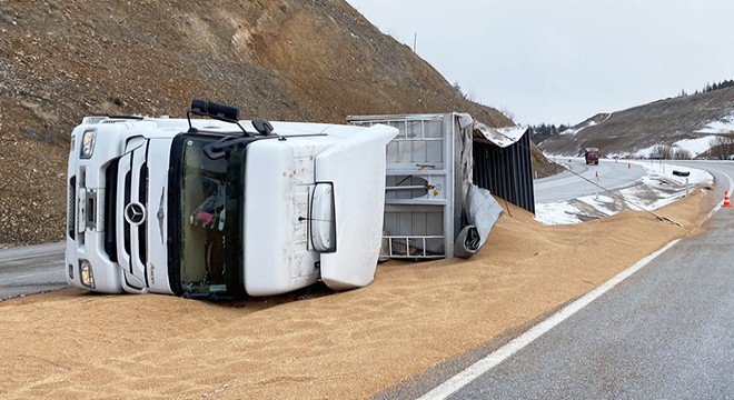 Devrilen TIR'daki buğday etrafa savruldu