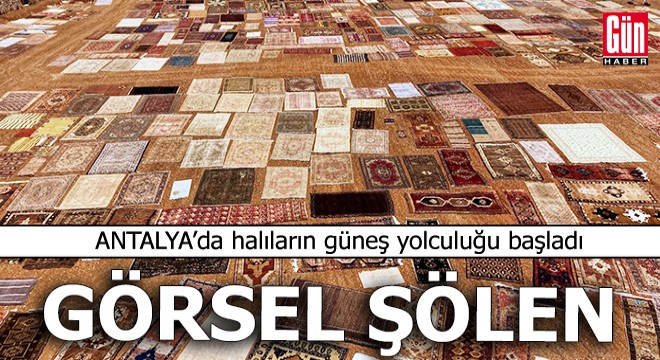 Döşemealtı'nın halı tarlaları görsel şölene dönüştü