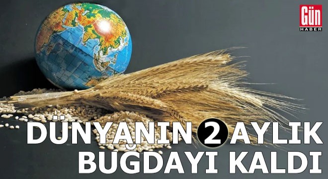 Dünyanın 2 aylık buğdayı kaldı...