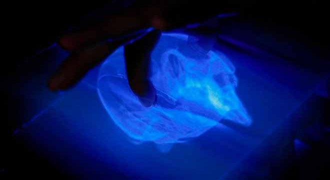 Dünyanın ilk etkileşimli 3D hologramı geliştirildi