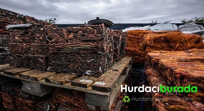 Edirne'de En İyi Hurdacı Firmaları Nerede Bulunur?