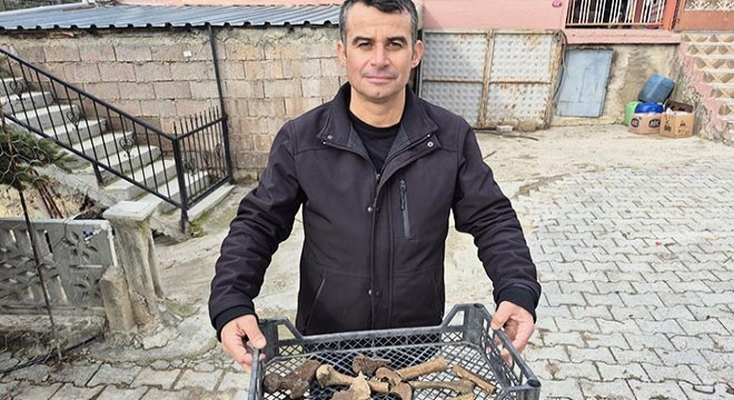 Eğirdir Gölü'nde insan kemikleri bulunan küpler ortaya çıktı