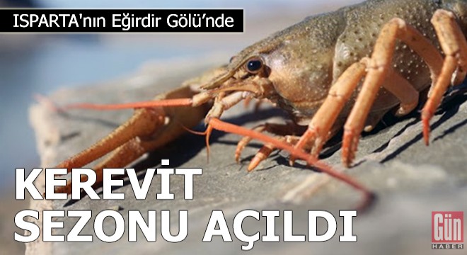 Eğirdir Gölü'nde kerevit sezonu açıldı