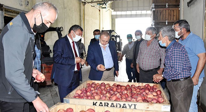 Eğirdir'de elma için toplantı