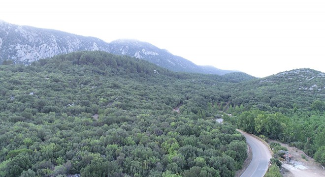 Eğirdir'de ormanlık alanlar dronla kontrol ediliyor