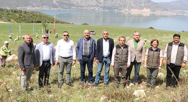 Eğirdir'in kokulu ardıçları büyüyor