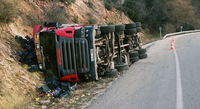 Elma yüklü TIR devrildi