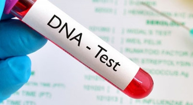 Eşinden DNA testi isteyen koca kusurlu bulundu