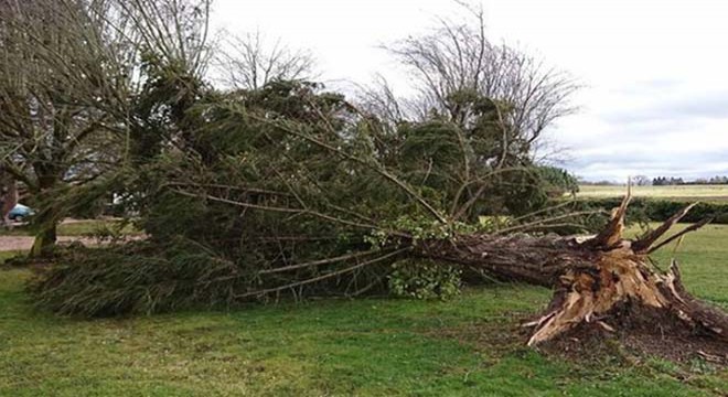Fransa'da 19 vilayette turuncu alarm verildi