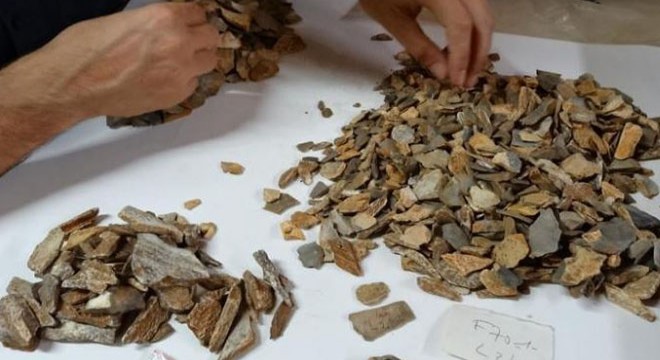 Arkeolojik kazıdan 41 bin yıllık Neandertal kalıntısı çıktı