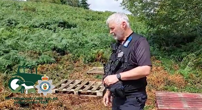 Galler’de polis, 14 arı kovanı çalan hırsızı arıyor