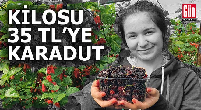 Geçen yıl kilosu 18'TL olan karadut, bu yıl 35 TL'den alıcı buluyor