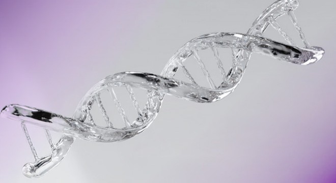 Genstar ile Gebelikte Genetik Testler: Geleceğe Güvenle Hazırlanın