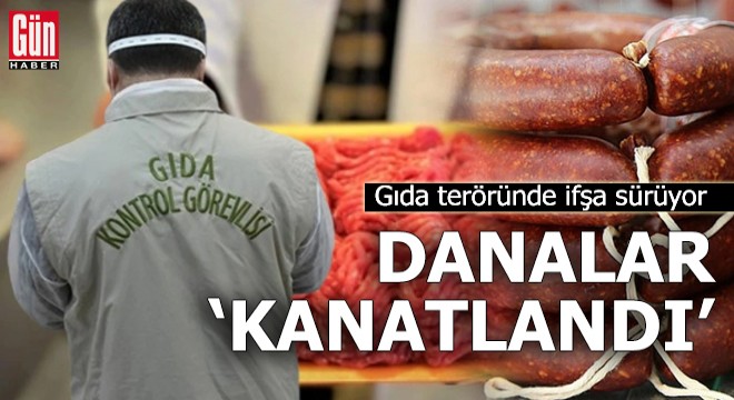 Gıda teröründe ifşa sürüyor: Danalar 'kanatlandı'