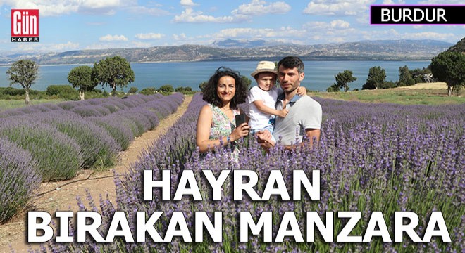 Göl manzaralı lavanta bahçesi hayran bırakıyor