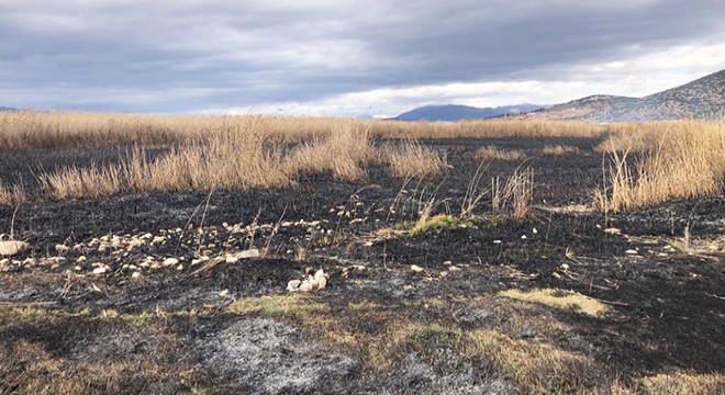 Gölhisar Gölü'nde sazlık alan yandı