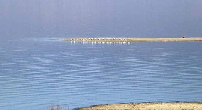 Göller Bölgesi'nde su kuşu sayımı başladı