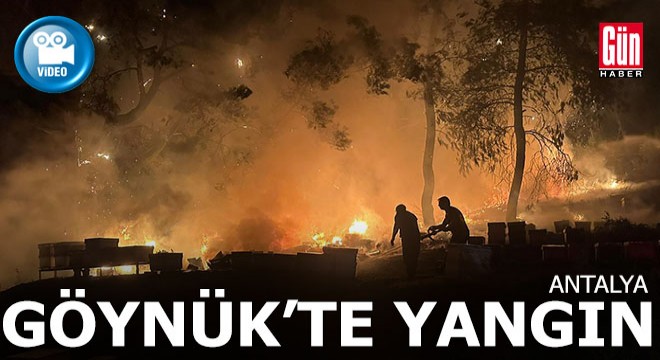 Göynük'teki orman yangını arı kovanlarına sıçradı