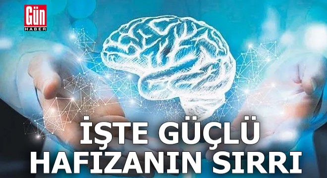 İşte güçlü hafızaya sahip olmanın sırrı