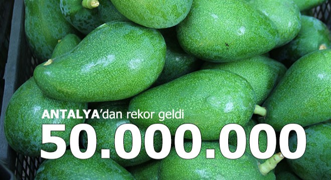 Hasat başladı rekor yolda