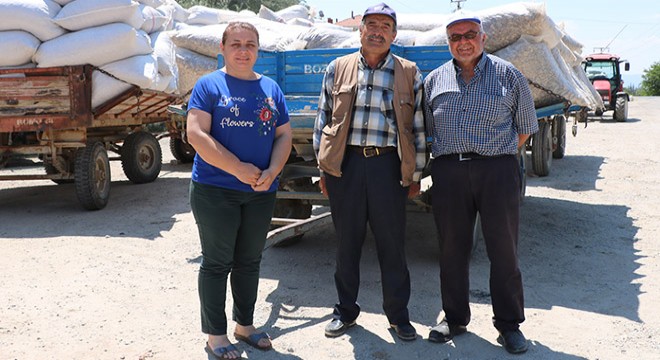 Haşhaş kapsülü alımı devam ediyor